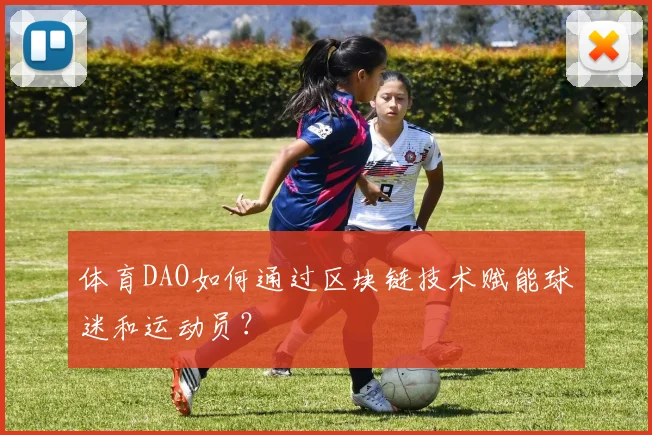 体育DAO如何通过区块链技术赋能球迷和运动员？