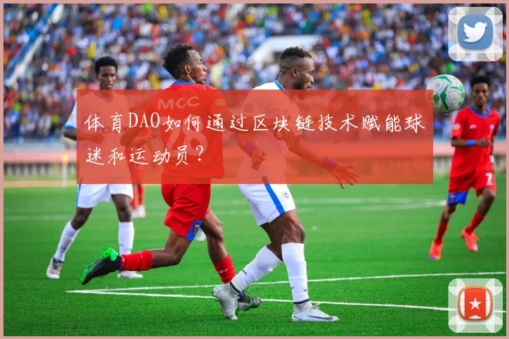 体育DAO如何通过区块链技术赋能球迷和运动员？